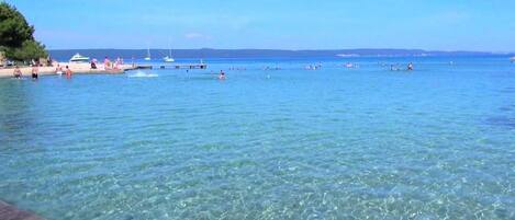 بالقرب من الشاطئ