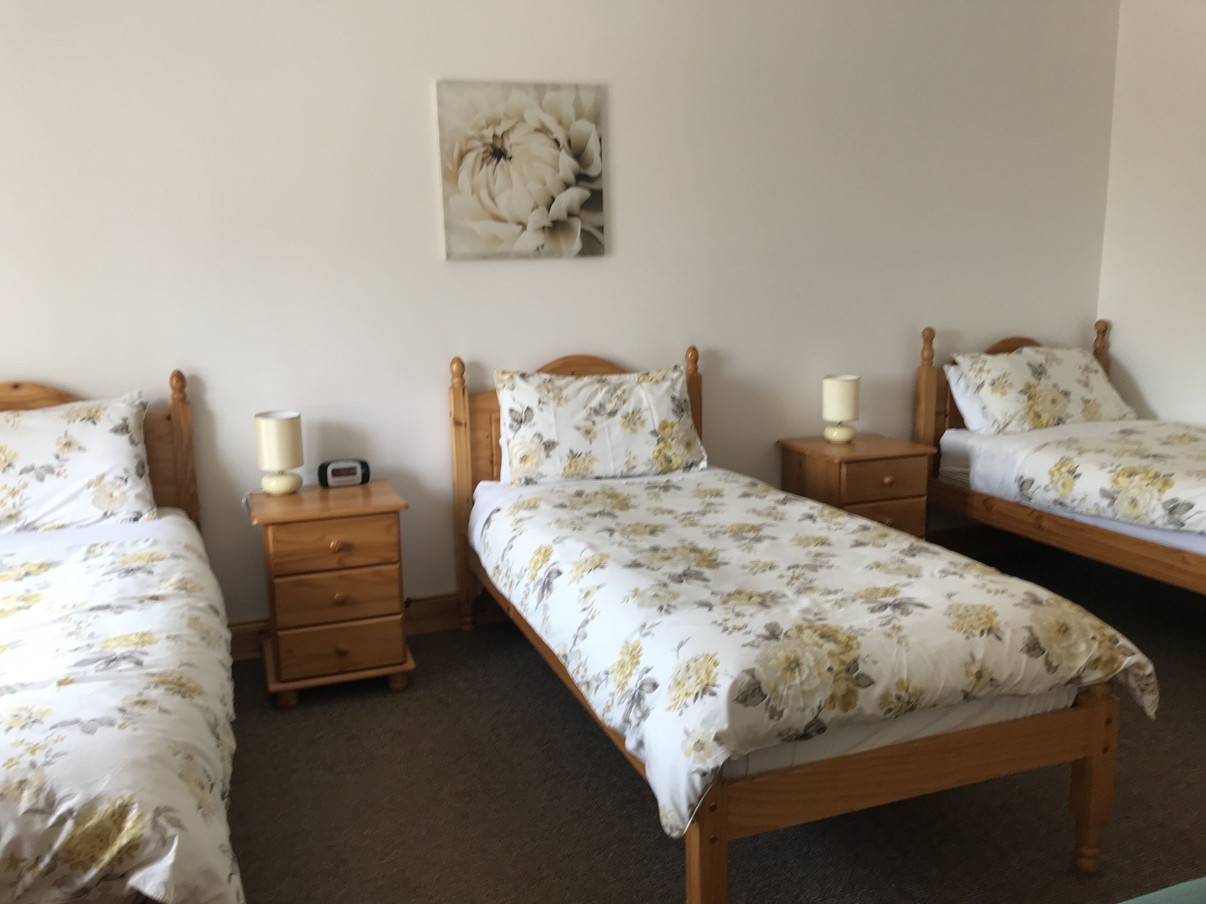 Chalet near Moira, 20 mins Belfast, free WiFI/Parking, super location for NI