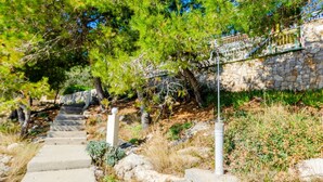 Property grounds - Holiday home Petra, (15597), Blato, hr (Blato)