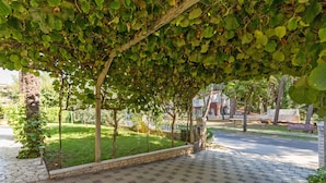 Property grounds - Apartments Marko, (14296), Porec, hr (Porec)