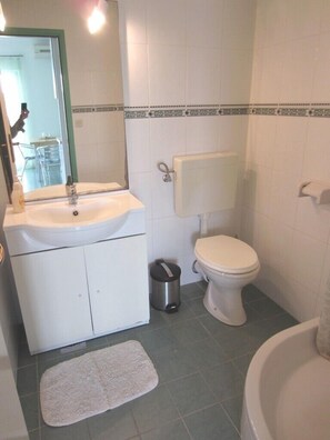 Shower, hair dryer