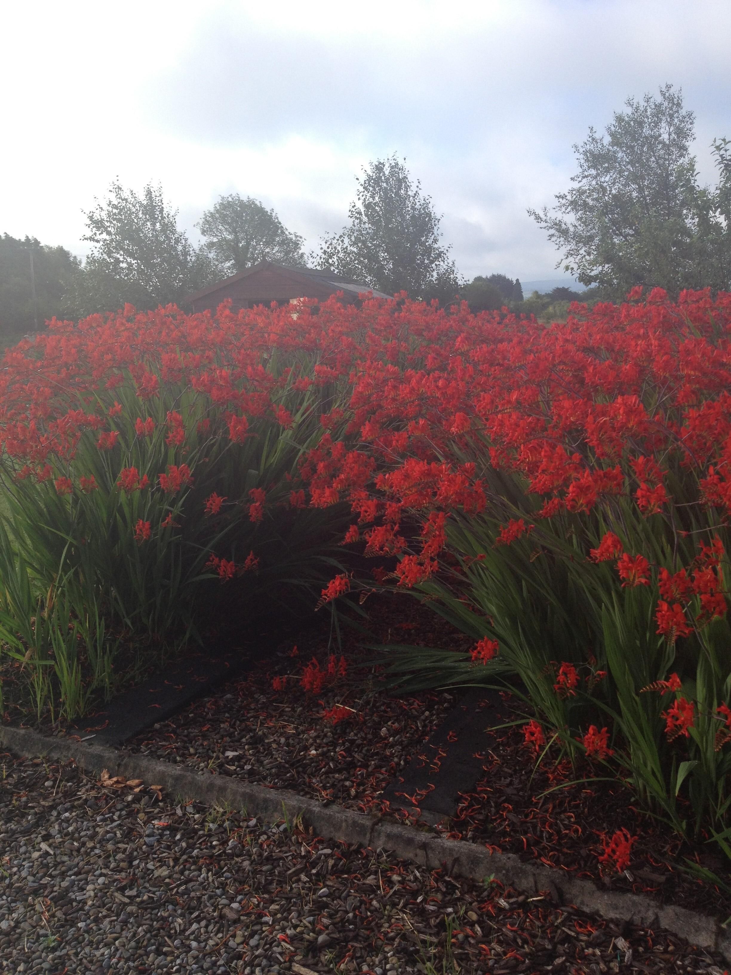 Áreas de la propiedad
