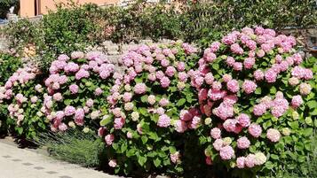 DĂ©tail de lâextĂ©rieur