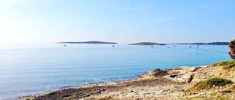 بالقرب من الشاطئ