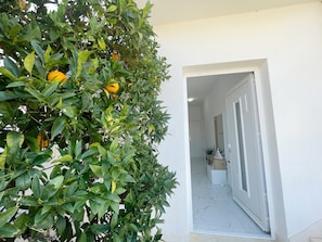 Dettaglio esterni