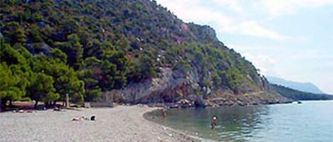 Una spiaggia nelle vicinanze