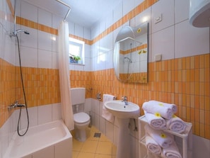 Shower, hair dryer