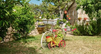 Apartments Nusret, (13689), Cunski, hr