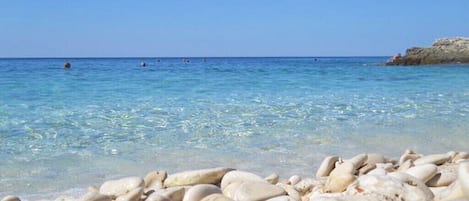 Nära stranden