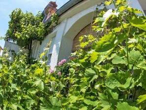 Stroll through the serene garden, surrounded by lush greenery and vibrant flowers, beneath a historic building with a traditional curved archway.