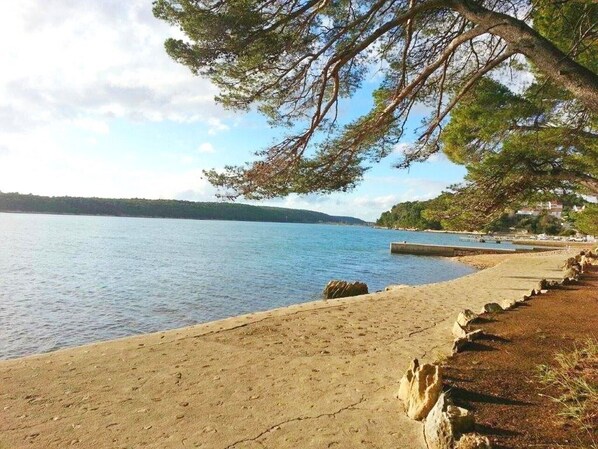 Nära stranden