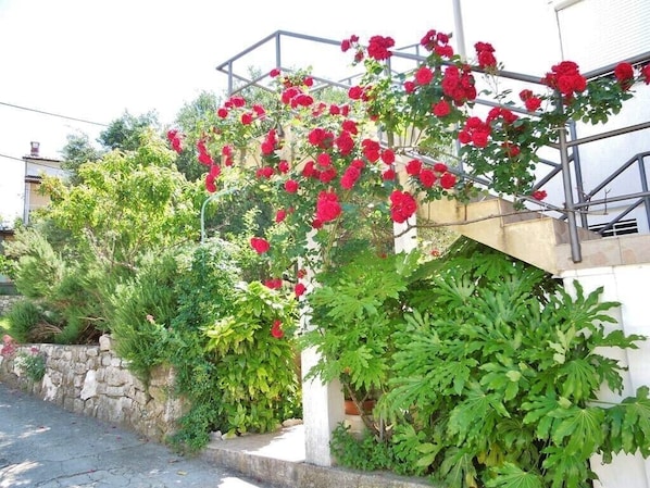 Terrain de l’hébergement 