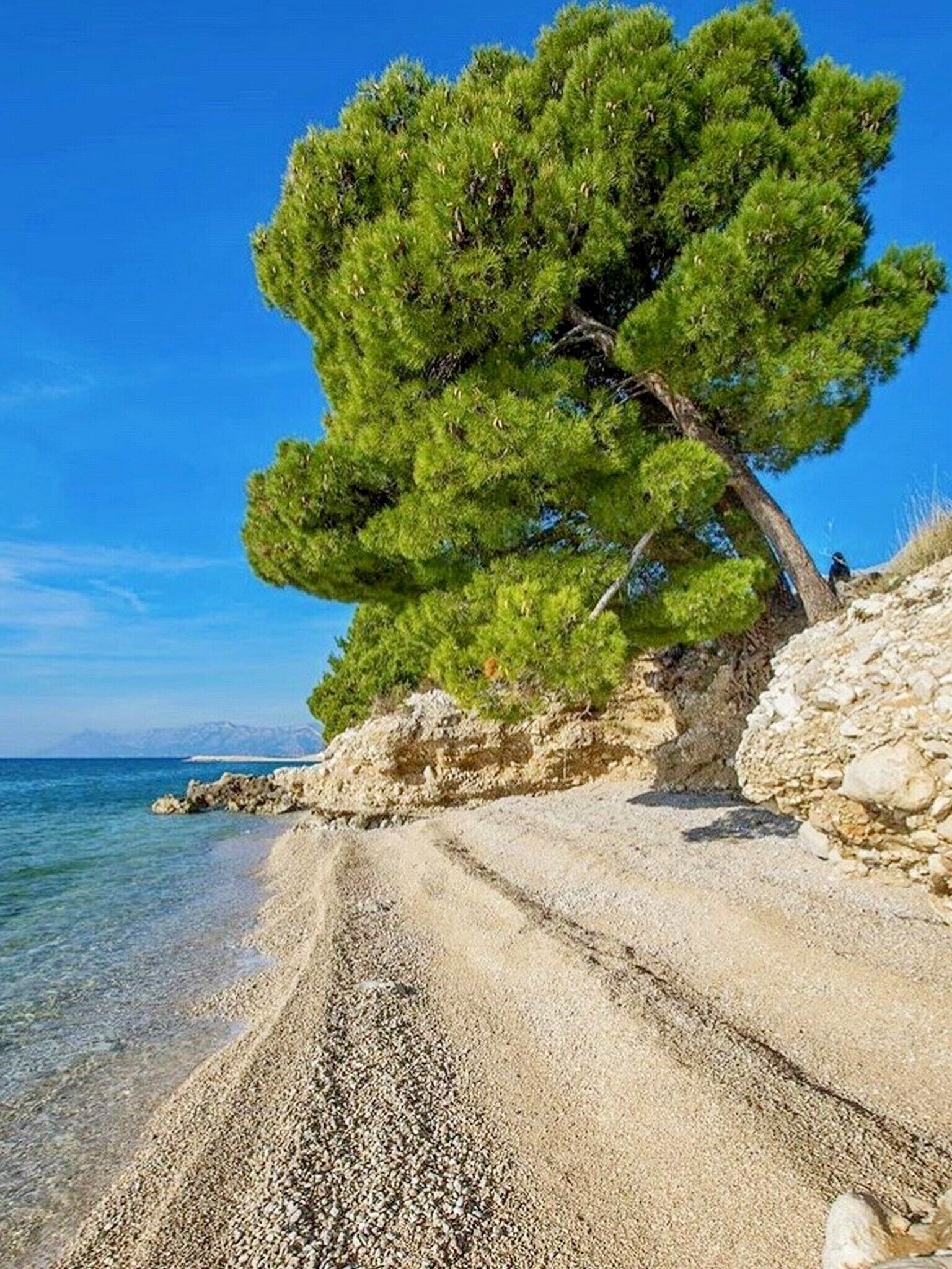 Playa en los alrededores 
