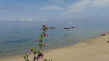 Plage, chaises longues
