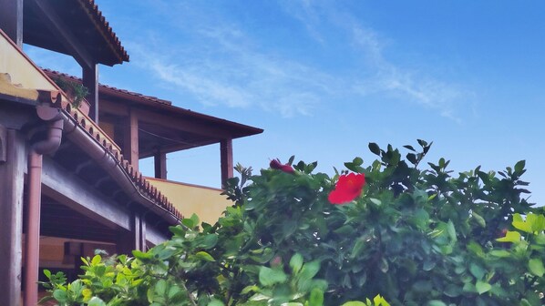 A building with a balcony and a red flower in the foreground.