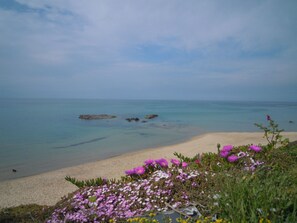 A beach with clear water, rocks, and purple flowers in the foreground. - Apartment/ flat - Castelsardo Wi Fi Free (Castelsardo)