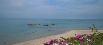 Apartment/ flat - Castelsardo Wi Fi Free