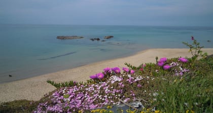 Apartment/ flat - Castelsardo Wi Fi Free