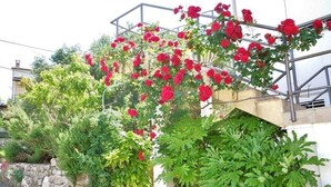 Property grounds - Apartments Josica, (14317), Banjol, hr (Banjol)