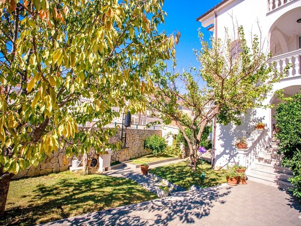 Terrain de l’hébergement 