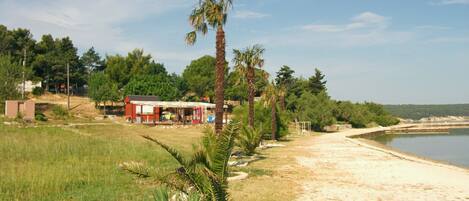 بالقرب من الشاطئ