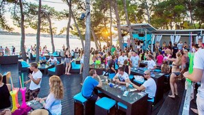 Outdoor dining - Apartments Marko, (13993), Vodice, hr (Vodice)