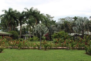 Habitación básica doble, 1 habitación, no fumadores | Vistas desde la habitación