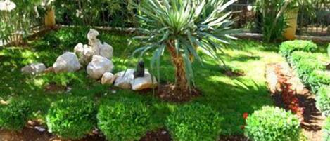 Àrea exterior de l'allotjament