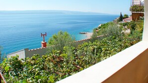 Property grounds - Apartments Ivo, (2083), Pisak, hr (Pisak)