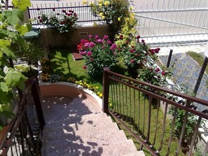 Property grounds - Apartments Elda, (14051), Rovinj, hr (Rovinj)