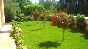 Parco della struttura