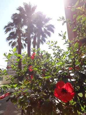 Overnatningsstedets område