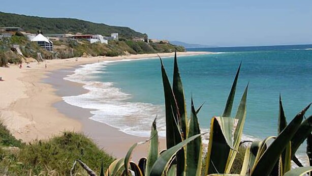 A beach with clear turquoise water, sandy shore, and some buildings in the background. - Fab modern garden apartment in idyllic hamlet in natural park. Lovely terraces. (Barbate)
