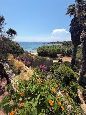 A coastal garden with a view of the sea, a wooden fence, and various plants.