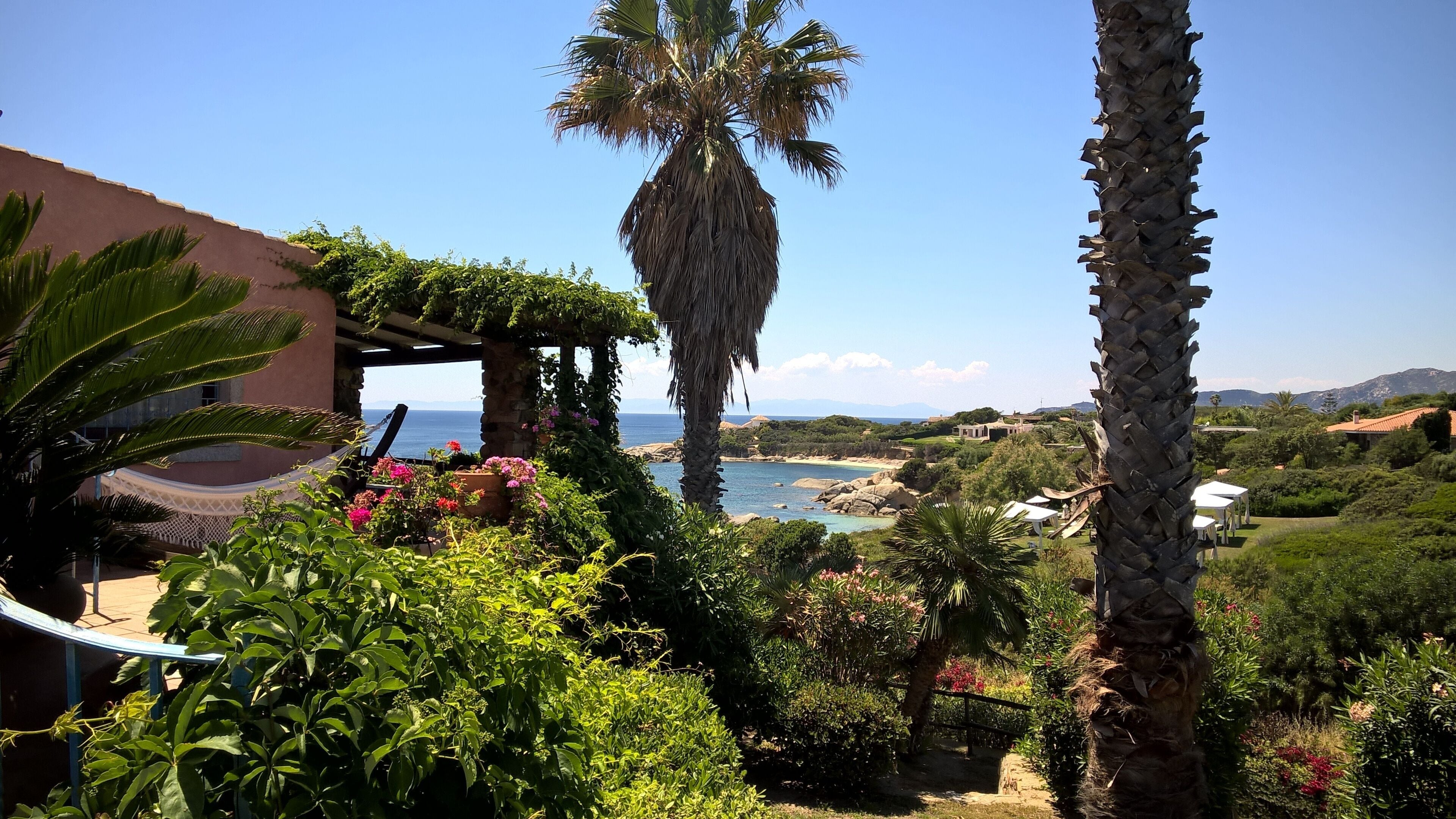 A lush garden with palm trees, a view of the sea, and a stone structure.