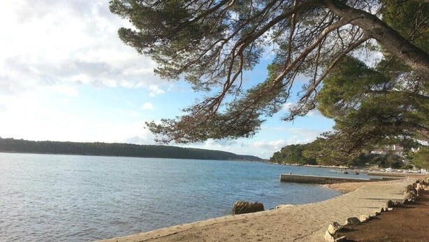 Beach nearby - Apartments and rooms Josipa, (13905), Palit, hr (Palit)