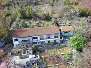 Exterior - Apartments Zlatko, (13176), Icici, hr (Icici)