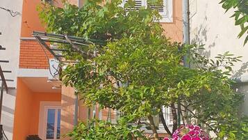 Detalle exterior
