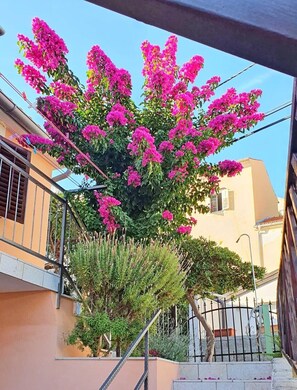 Property grounds - Apartments Hajrudin, (14409), Cunski, hr (Cunski (Lošinj))