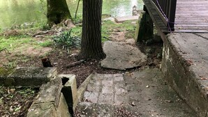 House, Multiple Beds (Rivers Edge) | Property grounds - Rivers Edge (Townsend)