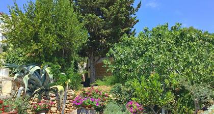 Apartments ÄurÄica, (14640), Murter, hr