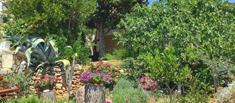 Huoneisto ÄurÄica, (14640), Murter, saari Murter, Kroatia