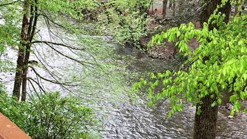 Cabin, 1 King Bed (River Bend) | View from property