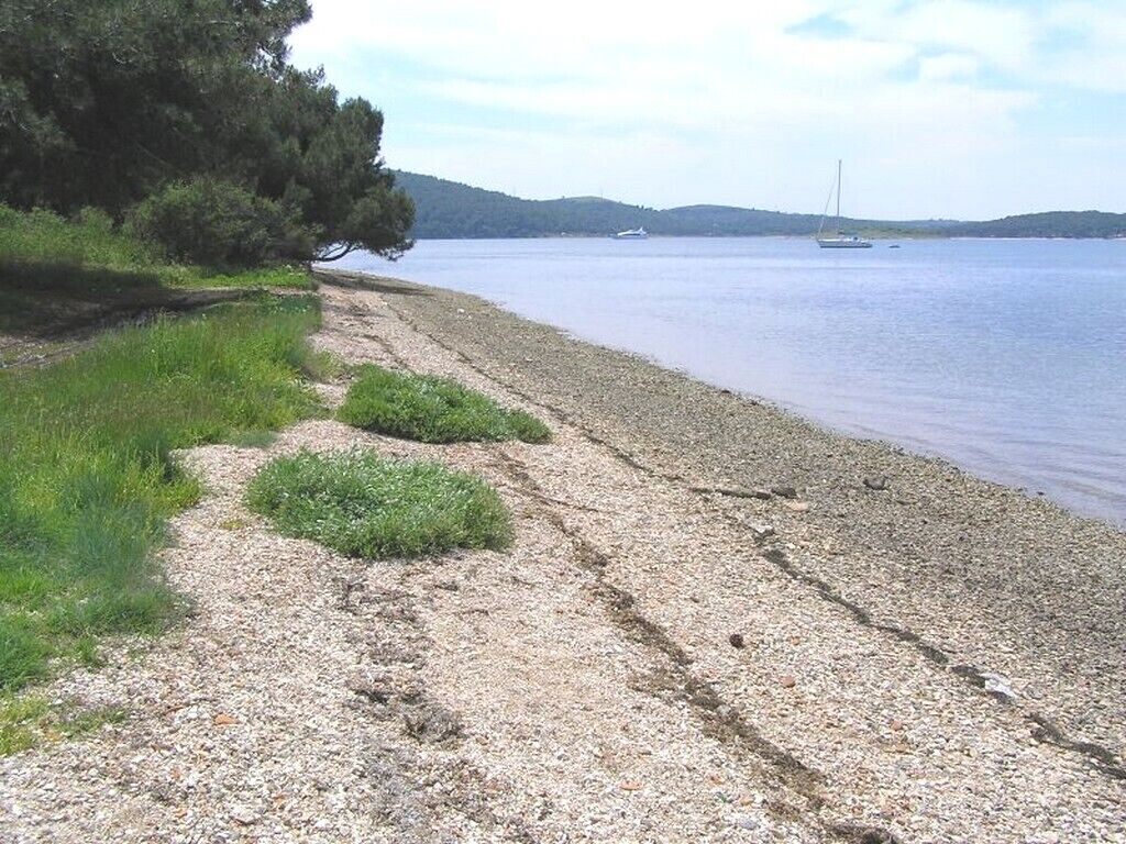 靠近海滩