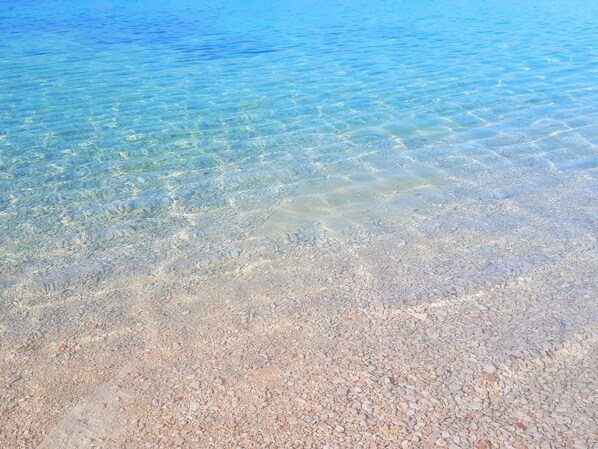 Beach nearby - Apartments Ivan, (14610), Ražanac, hr (Ražanac)