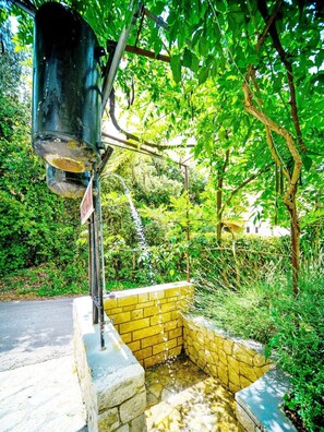 Overnattingsstedets uteområder