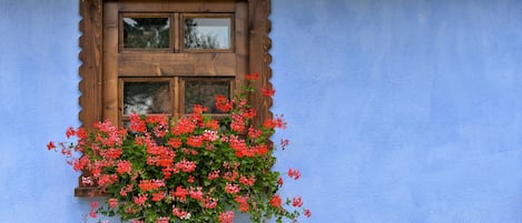 Detalle exterior