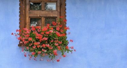 Casa Augustus (Apartment mit einem groĂen Schlafzimmer)