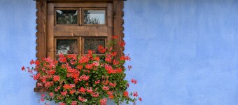 Casa Augustus (One-large bedroom apartment)