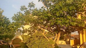 Área da propriedade
